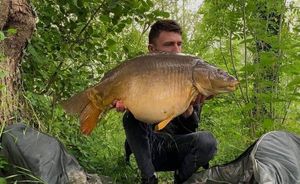 Mirror Carp
