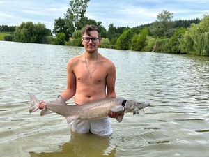Sturgeon