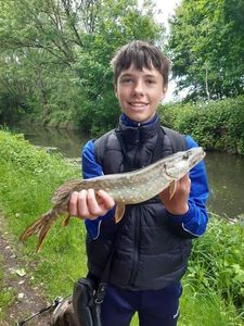 Northern Pike