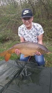 Mirror Carp