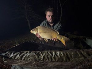 Koï Fish