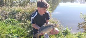 Common Carp