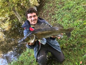 Zander
