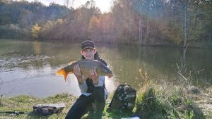 Common Carp