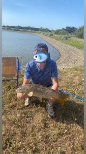 Common Carp