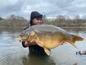 Mirror Carp