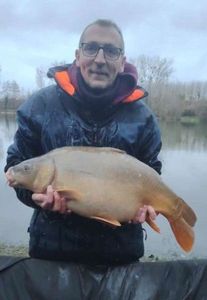Mirror Carp