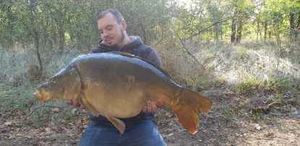 Mirror Carp