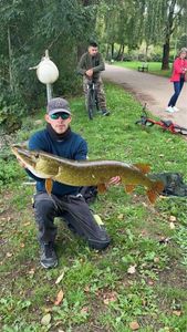 Northern Pike