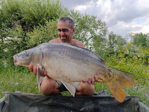 Mirror Carp