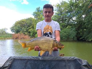 Common Carp