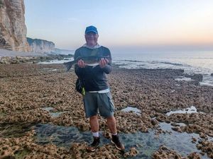 European Bass (Seabass)