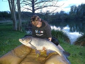 Silver Carp