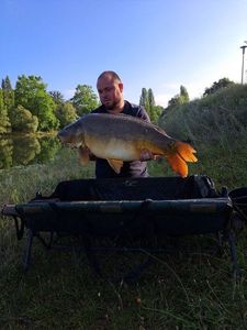 Mirror Carp