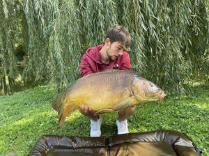 Mirror Carp