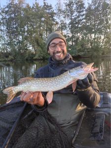 Northern Pike