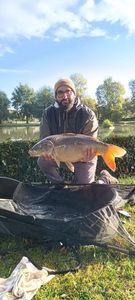 Mirror Carp