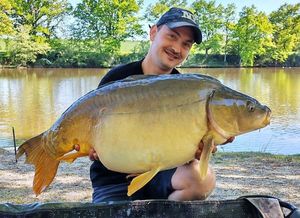 Mirror Carp