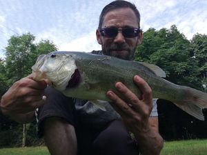 Largemouth Bass
