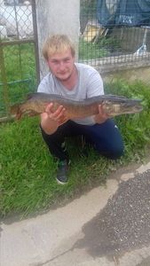 Northern Pike