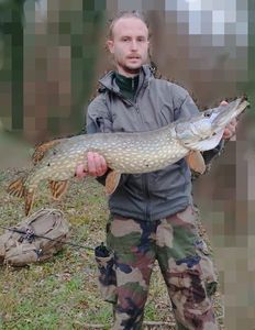 Northern Pike