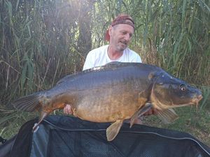 Mirror Carp