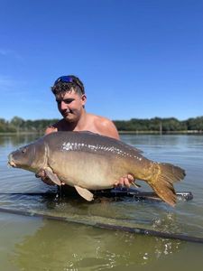 Mirror Carp
