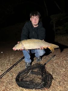 Common Carp