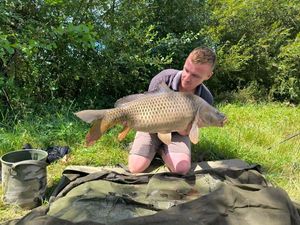 Common Carp