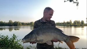 Mirror Carp