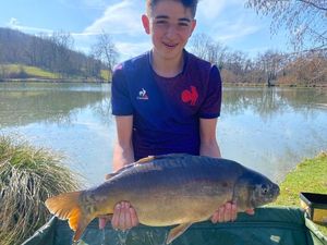 Mirror Carp