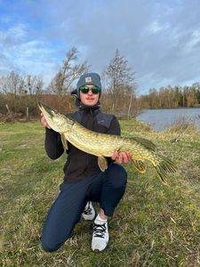 Northern Pike