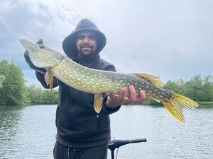 Northern Pike