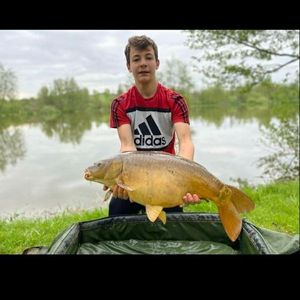 Mirror Carp