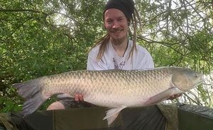 Grass Carp