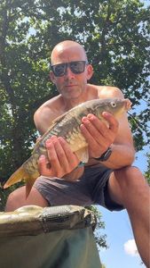 Mirror Carp