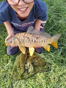 Leather Carp