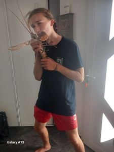 European Lobster