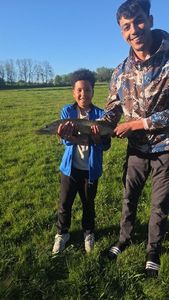 Northern Pike