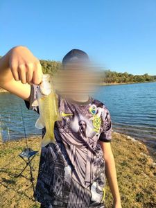 Largemouth Bass