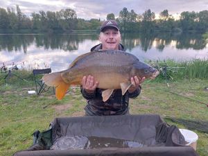 Mirror Carp