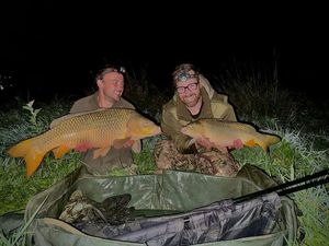Common Carp