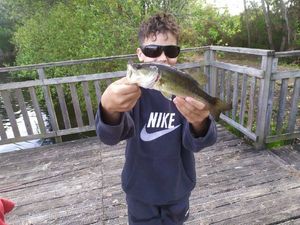 Smallmouth Bass