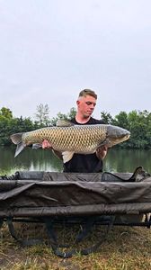 Grass Carp