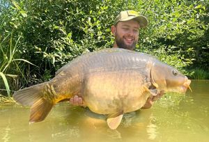 Mirror Carp