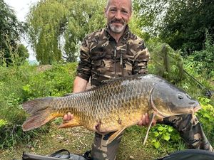Common Carp