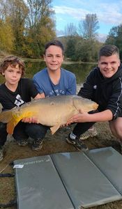 Mirror Carp