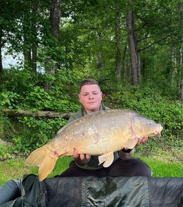 Mirror Carp