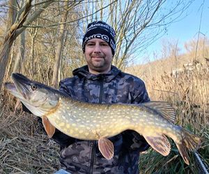 Northern Pike