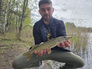 Northern Pike